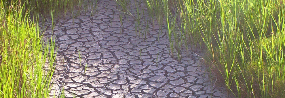 drought