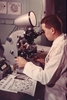 scientist_counting_chromosomes