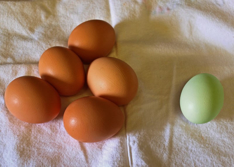 segregation