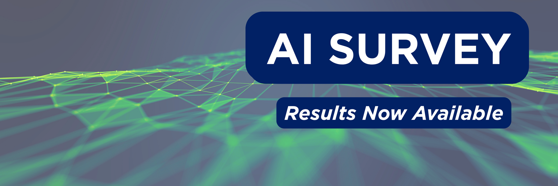 AI Survey Results